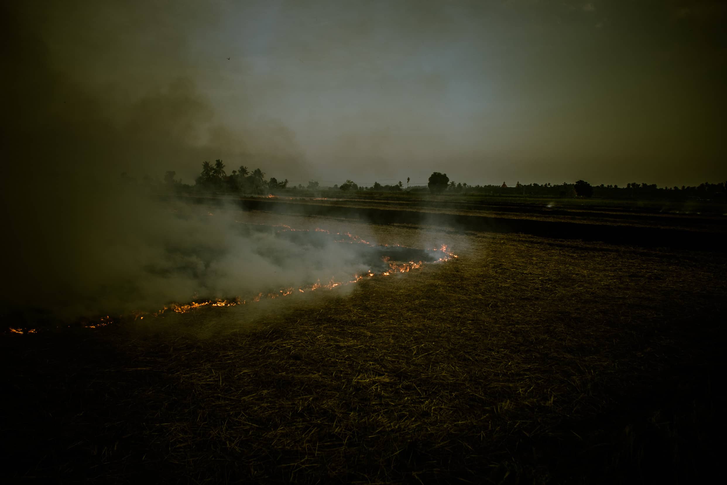 Photographies de la couleur la plus moche du monde