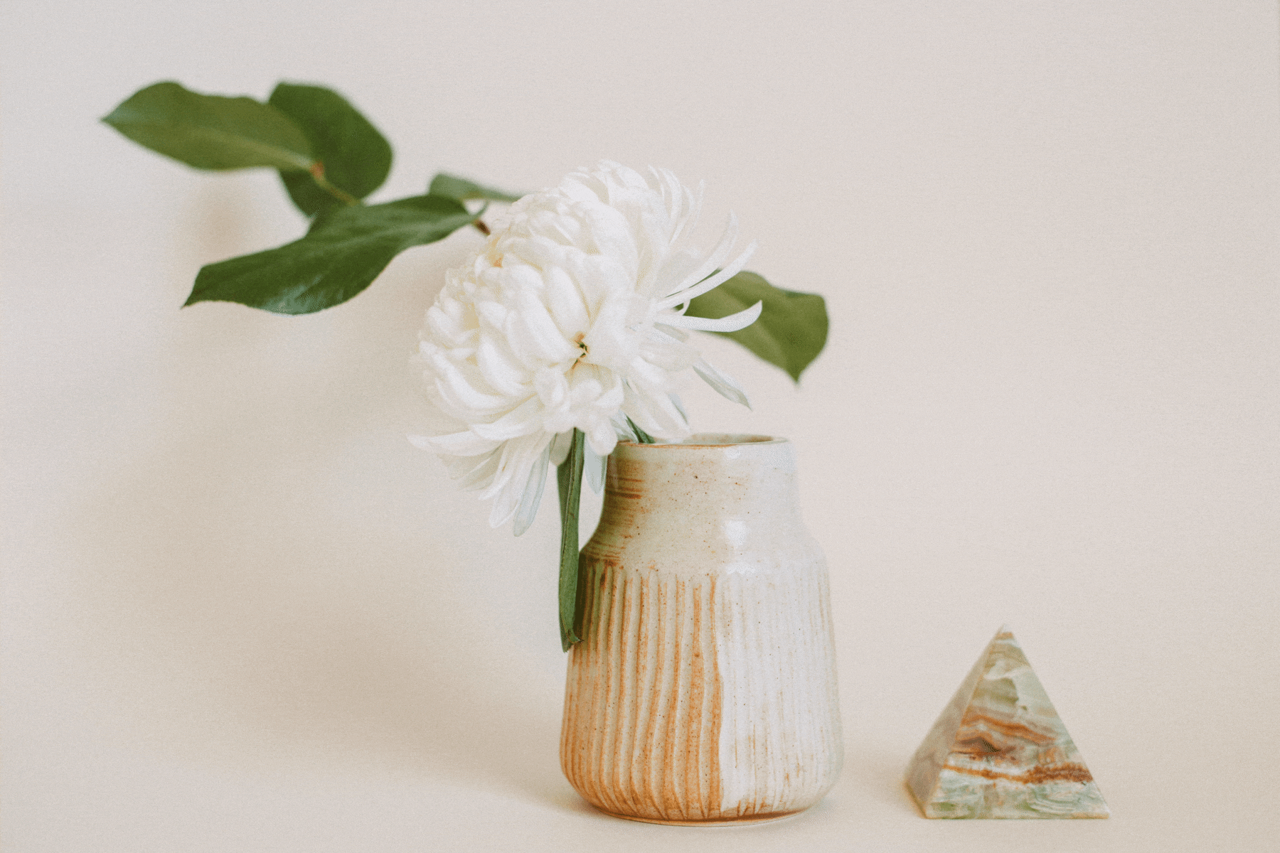How Pottery Inspired Our Latest Website Template Design