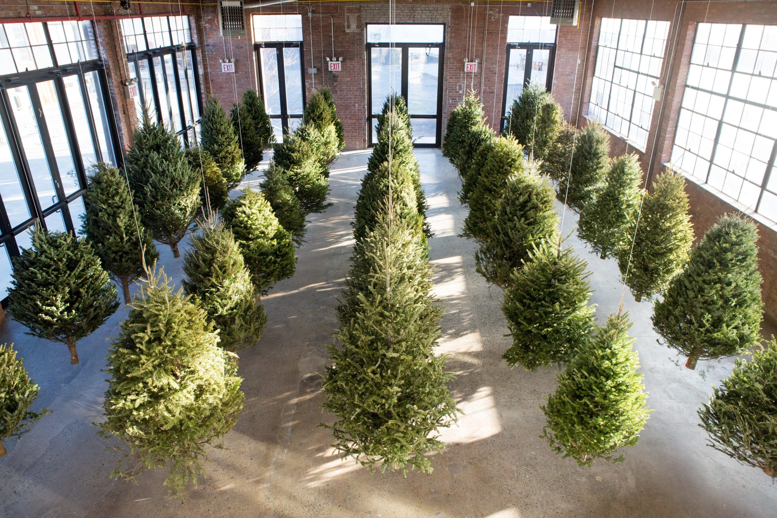 Installations de sapins de Noël : 8 expositions d'art sur le thème des fêtes de fin d'année utilisant des arbres à feuilles persistantes