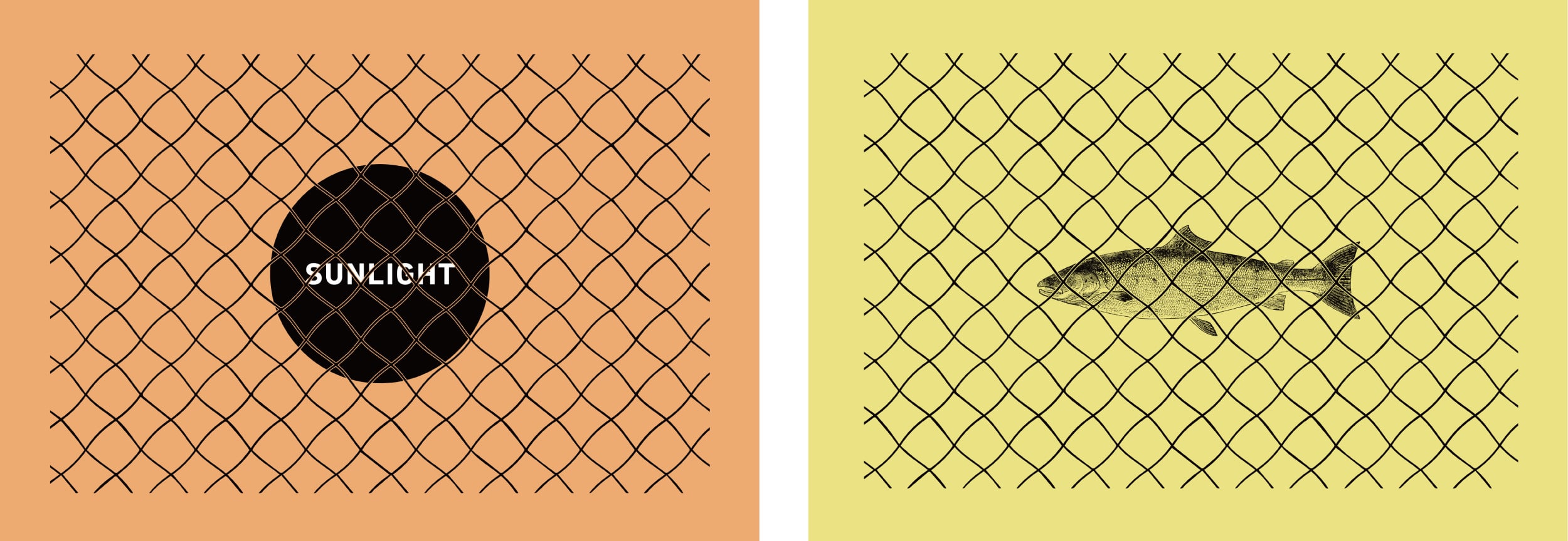 nets_comparison