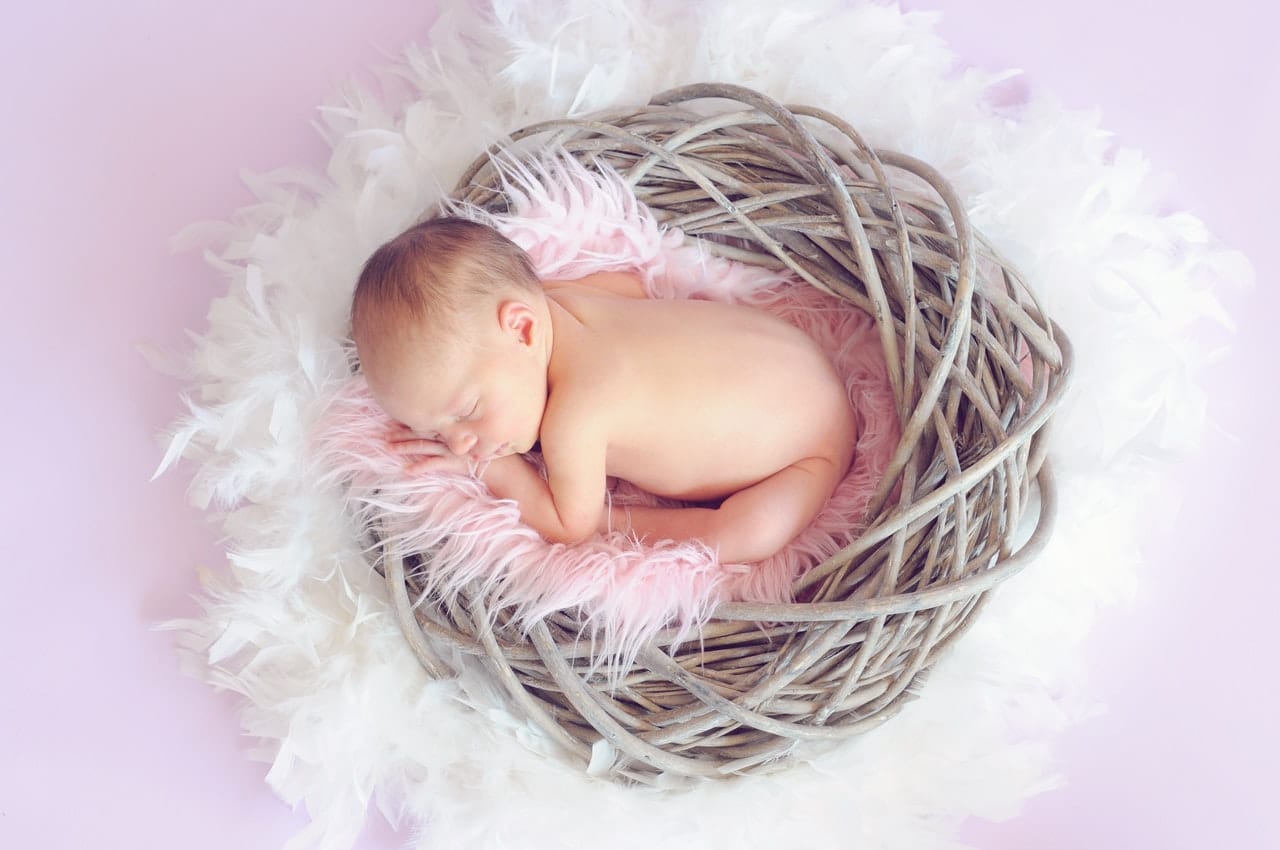 newborn baby in a basket
