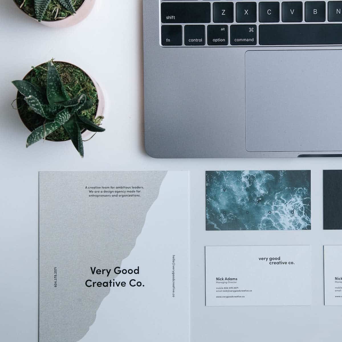 business cards laying flat on a desk beside a laptop and succulent plant