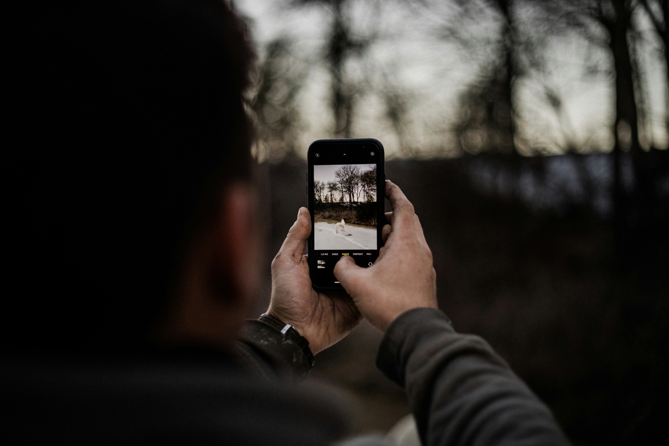 photograph from behind a person taking a photo outdoors with their cell phone