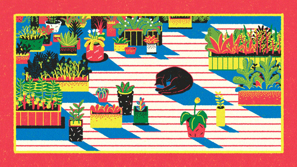 plants3