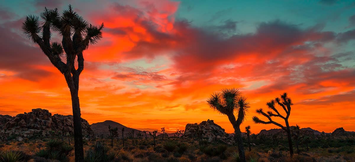 puesta de sol en el desierto
