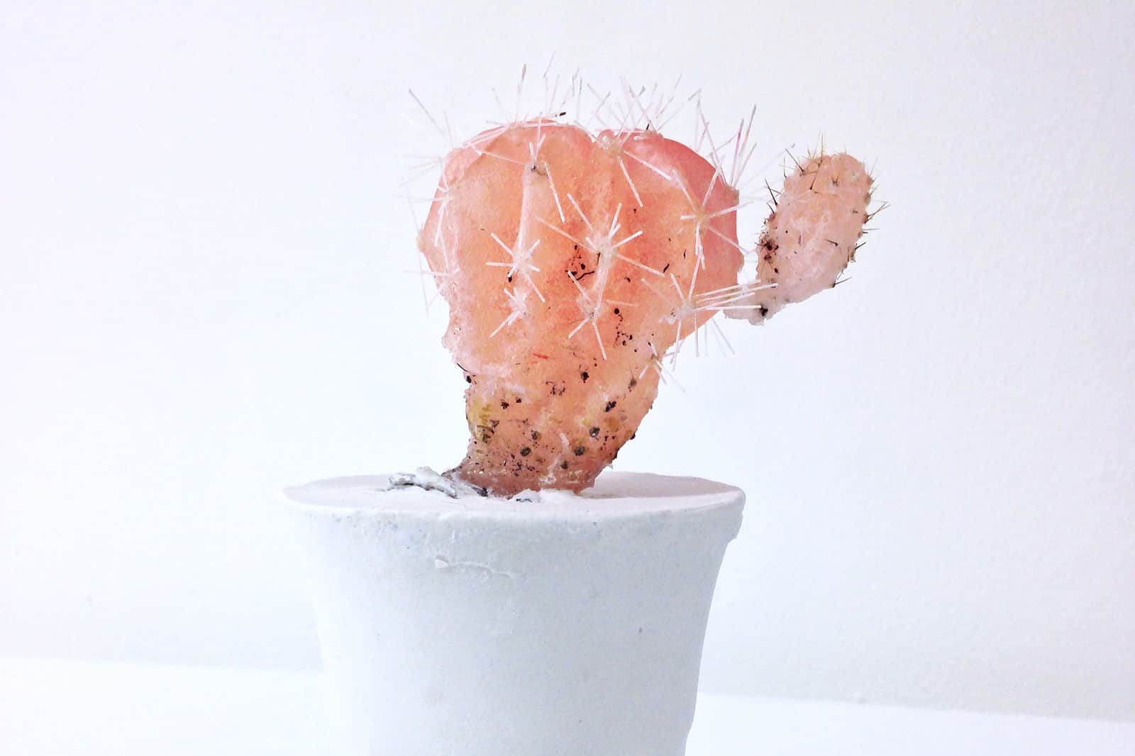 Esculturas de cera Day-Glo hechas con cactus