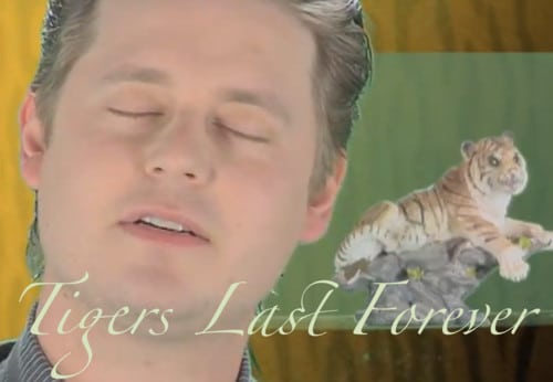 tim-heidecker-6