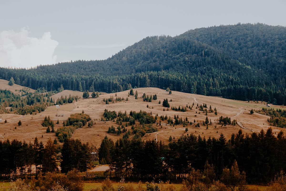 tipos_de_fotografia_paisagem_fotografia