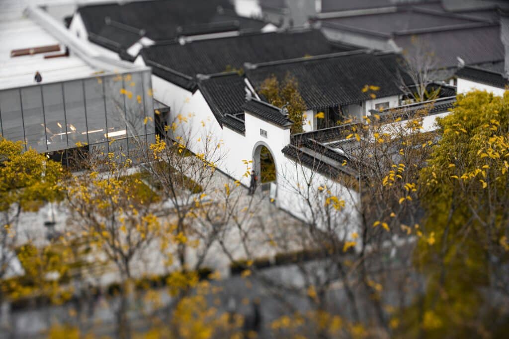 edificio blanco y gris fotografiado con objetivo basculante, árboles de hojas amarillas en primer plano