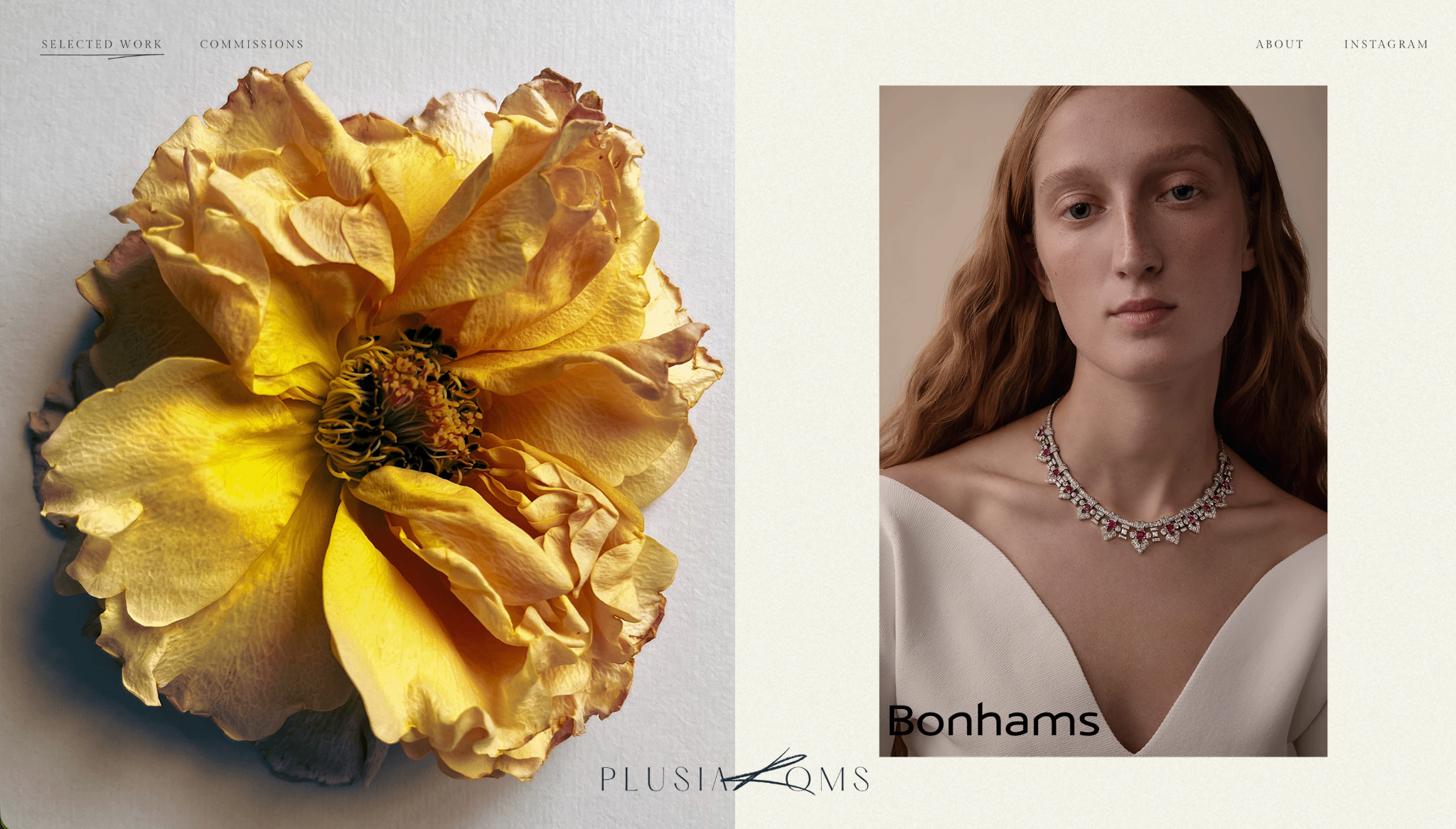 A yellow rose beside a portrait of a model wearing a jeweled necklace