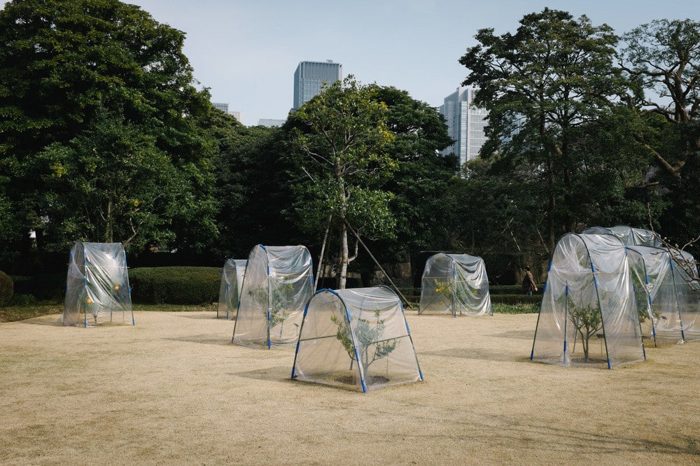 La photographie de rue de Tokyo de Yota Yoshida est étonnamment paisible